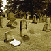 Whiting church cemetery. 30 nord entre 4 et 125. New Hampshire, USA. 26-07-2009-  Sepia