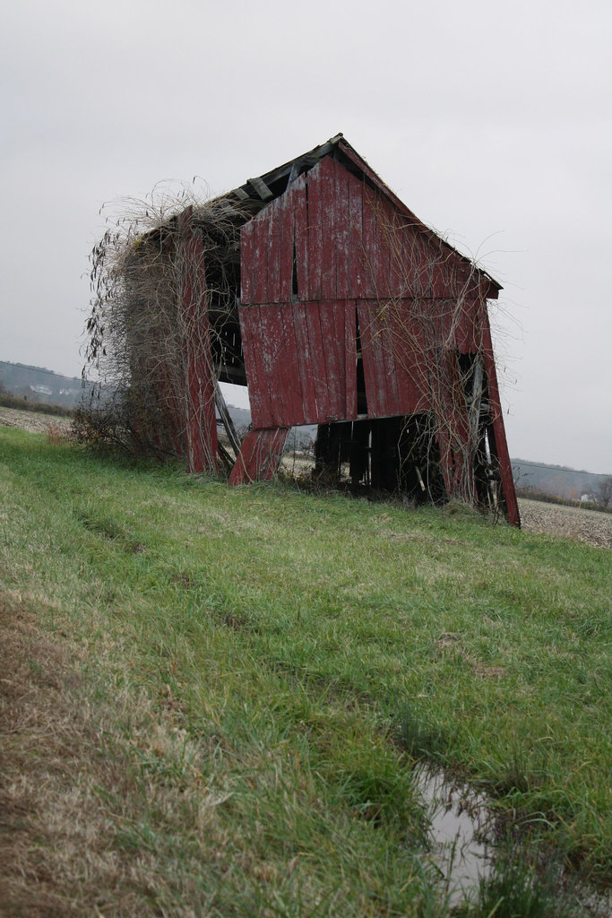 33.NoPointFarm.Dameron.MD.26November2009