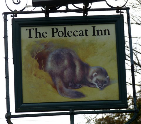 'The Polecat Inn'