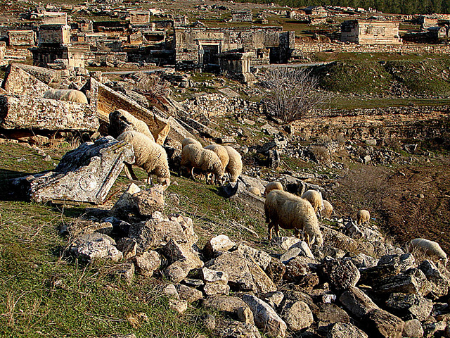 20060130 028DSCw [TR] Hierapolis