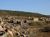 20060130-029DSCw [TR] Schafe, Weltkulturerbe: Hierapolis, Denizil