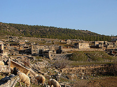 20060130-029DSCw [TR] Hierapolis