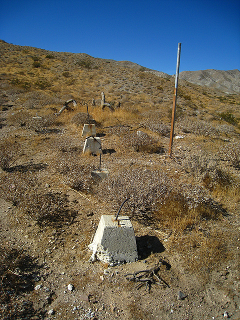 Near The Nude Bowl (4737)