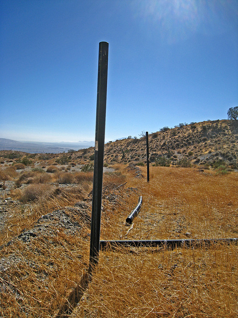 Near The Nude Bowl (4745)