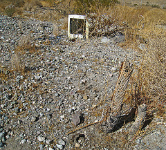 Near The Nude Bowl (4749) Near The Nude Bowl (4749)