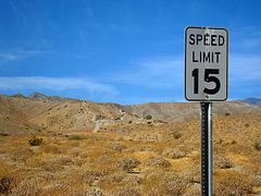 Nude Bowl Speed Limit 15 (4753) Nude Bowl Speed Limit 15 (4753)