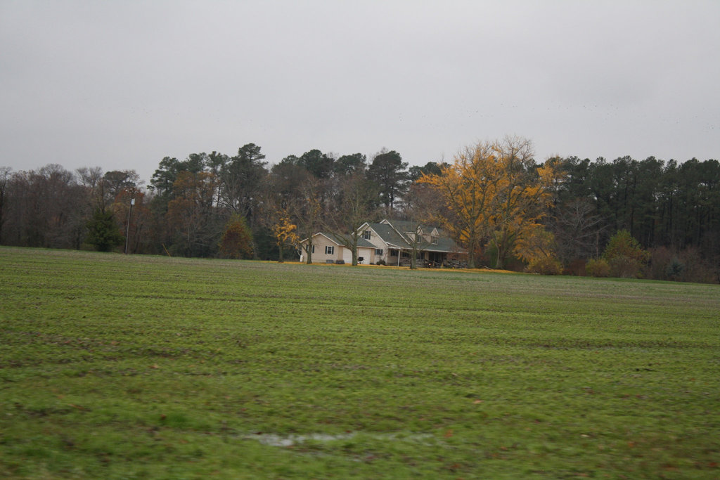 42.StJeromesNeckRoad.Dameron.MD.26November2009