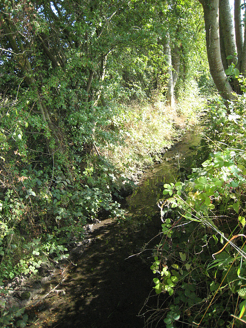 Source de l'Ancoeur