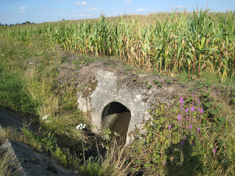 Source de l'Ancoeur