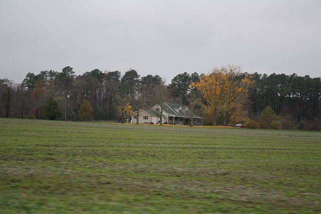 43.StJeromesNeckRoad.Dameron.MD.26November2009