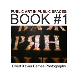 PublicArtPublicSpaces.Book1a
