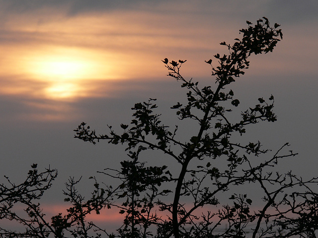 Sonnenuntergang