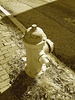 Burning racism to fight against !  Racisme enflammé à abolir sans relâche !  Portland, Maine, USA - 11 octobre 2009- En sepia.