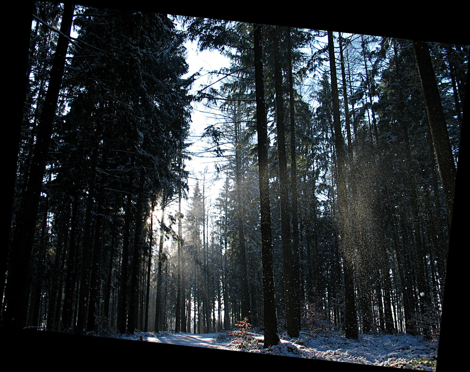 Winterspaziergang