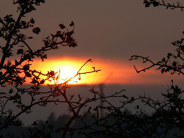 Sonnenuntergang