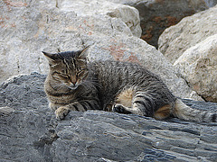 20050920 210DSCw Cinque Terre [Ligurien]