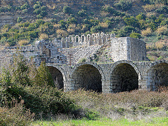 20060203 126DSCw [TR] Perge