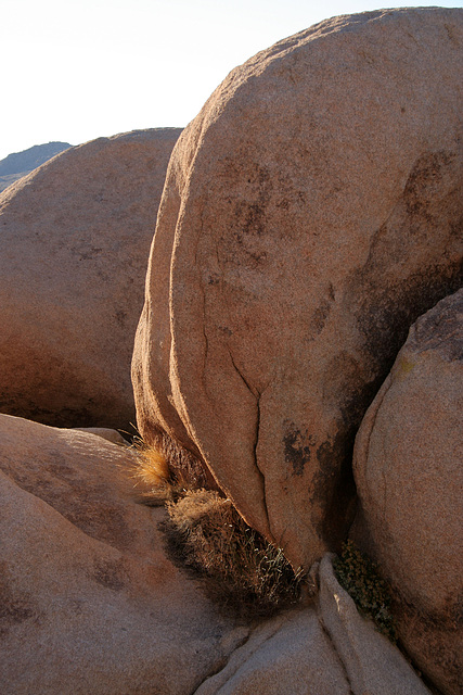 White Tank Campground (3030)