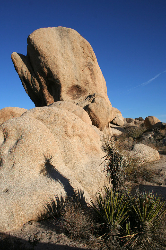 White Tank Campground (3038)