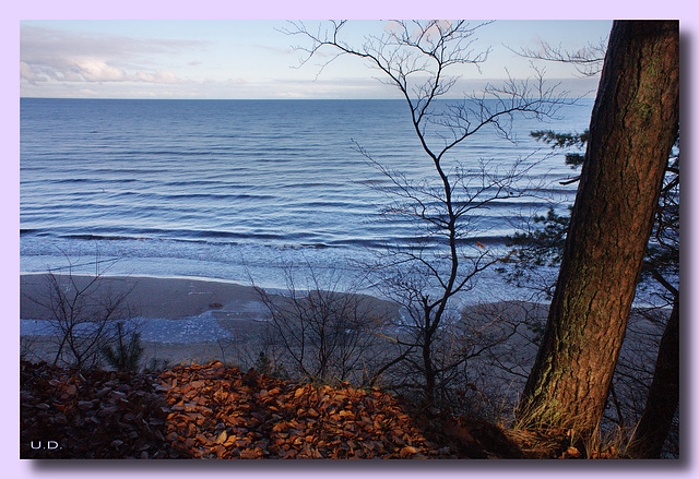 Laubwald und die See...