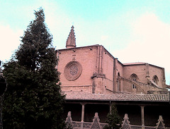 Catedral de Pamplona: desde la tereraza del claustro.
