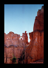 La Vierge Ocre en prière