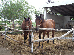 IMGP2297