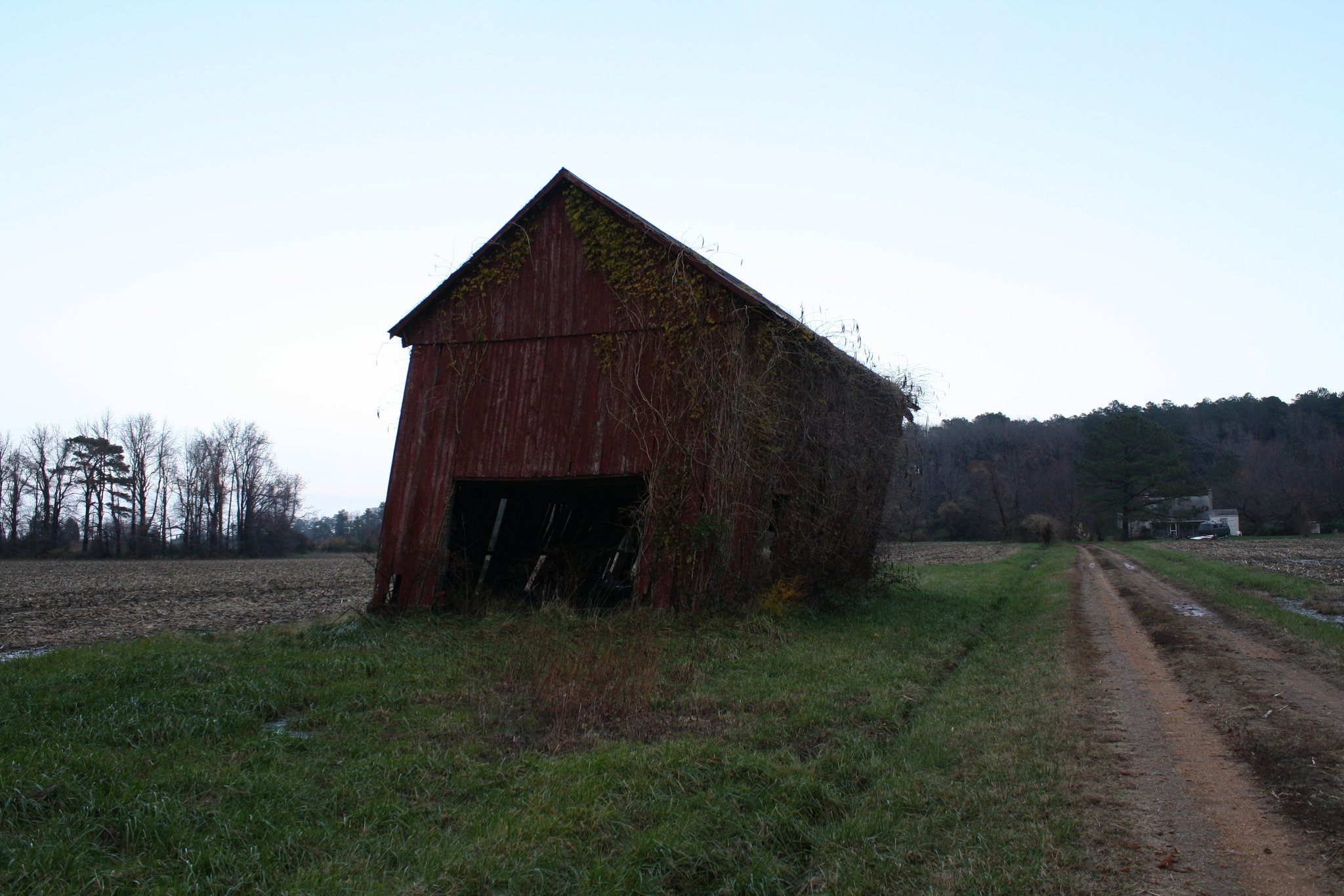 41.NoPointFarm.Dameron.MD.26November2009