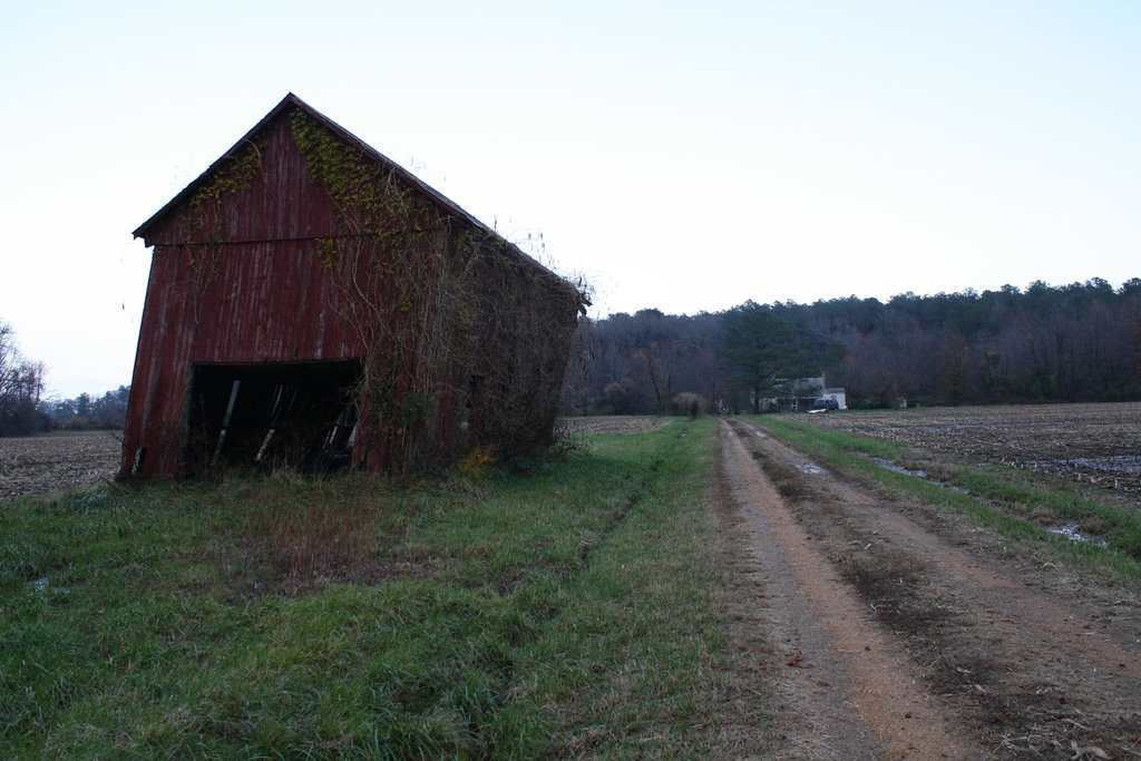 42.NoPointFarm.Dameron.MD.26November2009