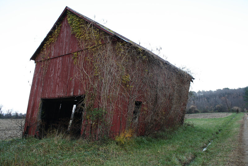 44.NoPointFarm.Dameron.MD.26November2009