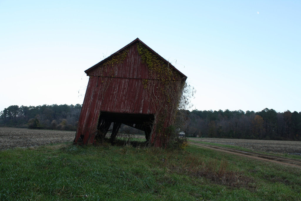 47.NoPointFarm.Dameron.MD.26November2009