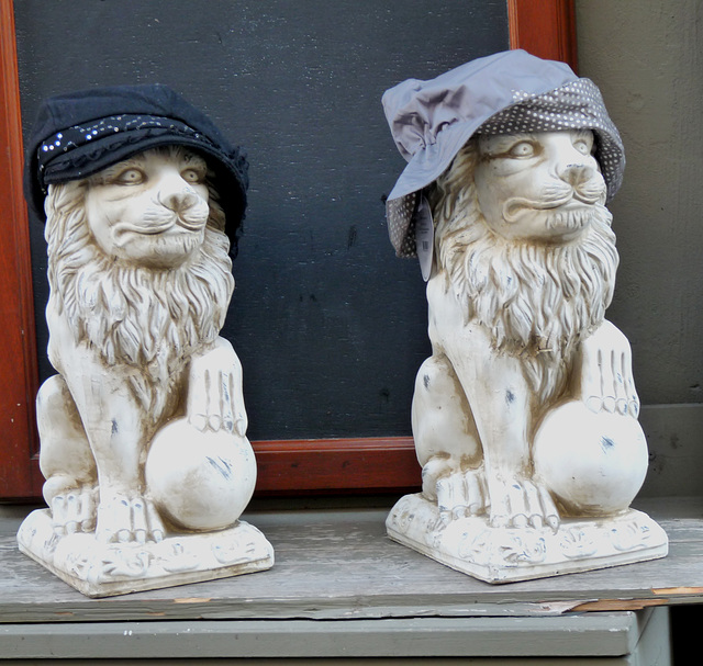 Cheerful Lions