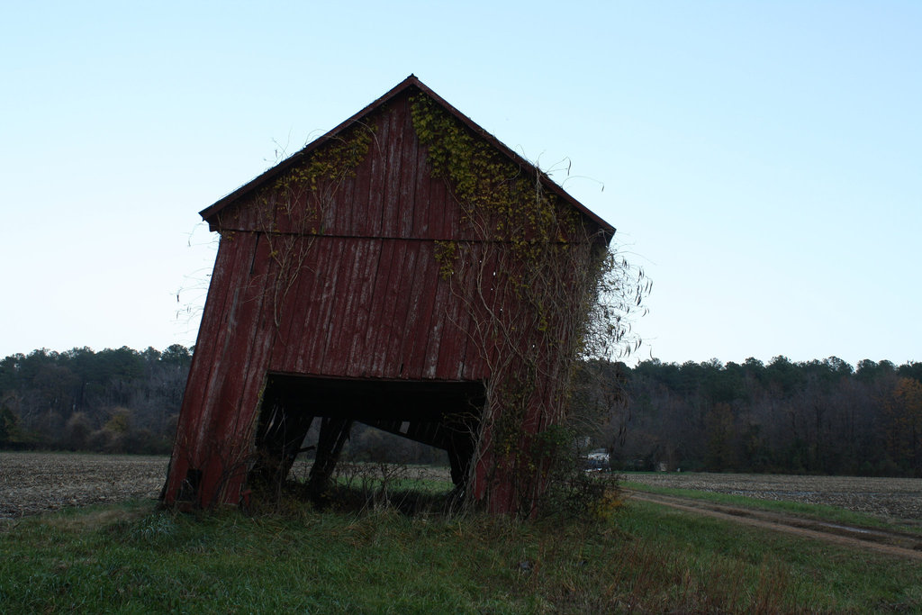 48.NoPointFarm.Dameron.MD.26November2009