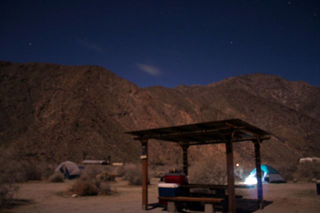 Borrego Palm Canyon Campground (3147)