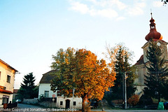 Fall Colors, Picture 3, Poricany, Bohemia (CZ), 2009