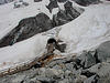 20060618 0370DSCw [R~CH] Gletsch: Rhonegletscher, Wallis [Schweiz]