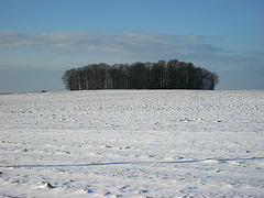 Val d'Ancoeur - Bois Bouchard