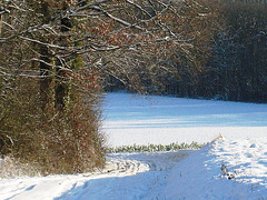 Val d'Ancoeur