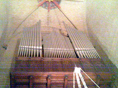 Catedral de Pamplona: órgano.