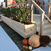 146.SolarDecathlon.NationalMall.WDC.9October2009