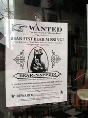 Bear-napped Bear-napped
