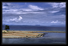 The black pig of Baracoa