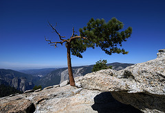 Sierra Nevada