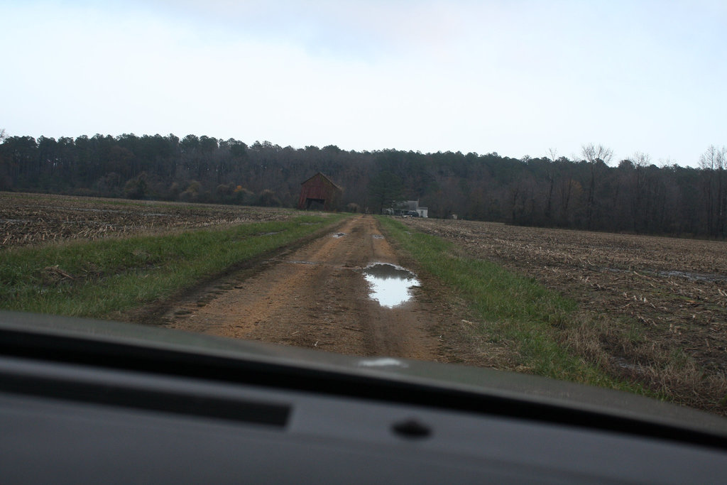 02.NoPointFarm.Dameron.MD.26November2009