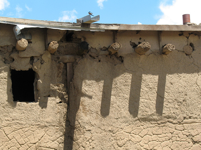 Old Adobe, Window and a Bird