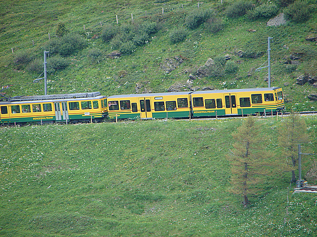 20060630 0521DSCw [R~CH] Grindelwald: Kleine Scheidegg, Lauterbrunnenbahn, Bern [Schweiz]