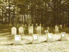 Hill crest cemetery- Sepia