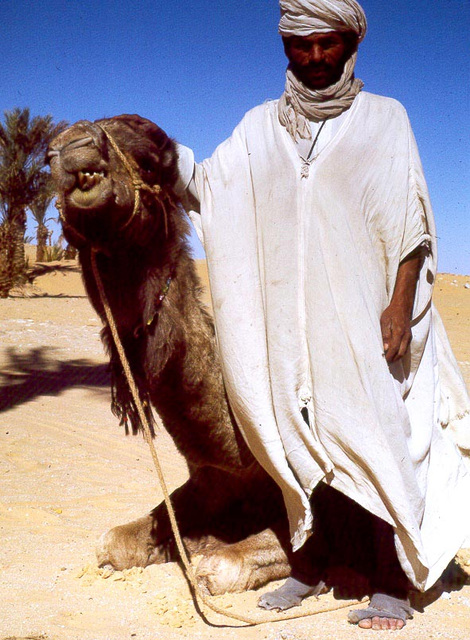 Sahara-toureg-avec-dromadaire