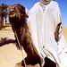 Sahara-toureg-avec-dromadaire