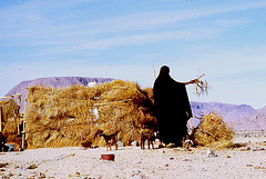 Sahara-toureg-du Hoggar-3